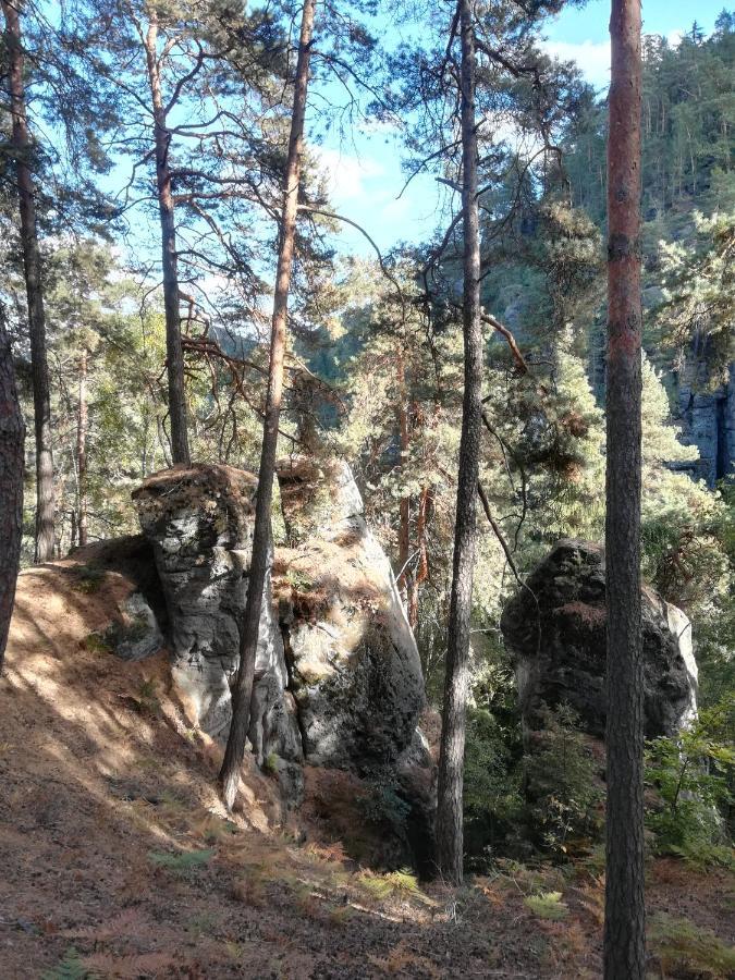 Pension Kral Яблонец-над-Нисоу Экстерьер фото